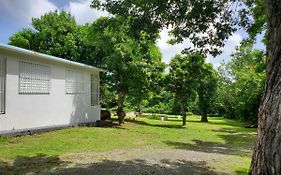 Crab Island Adventures Apartments